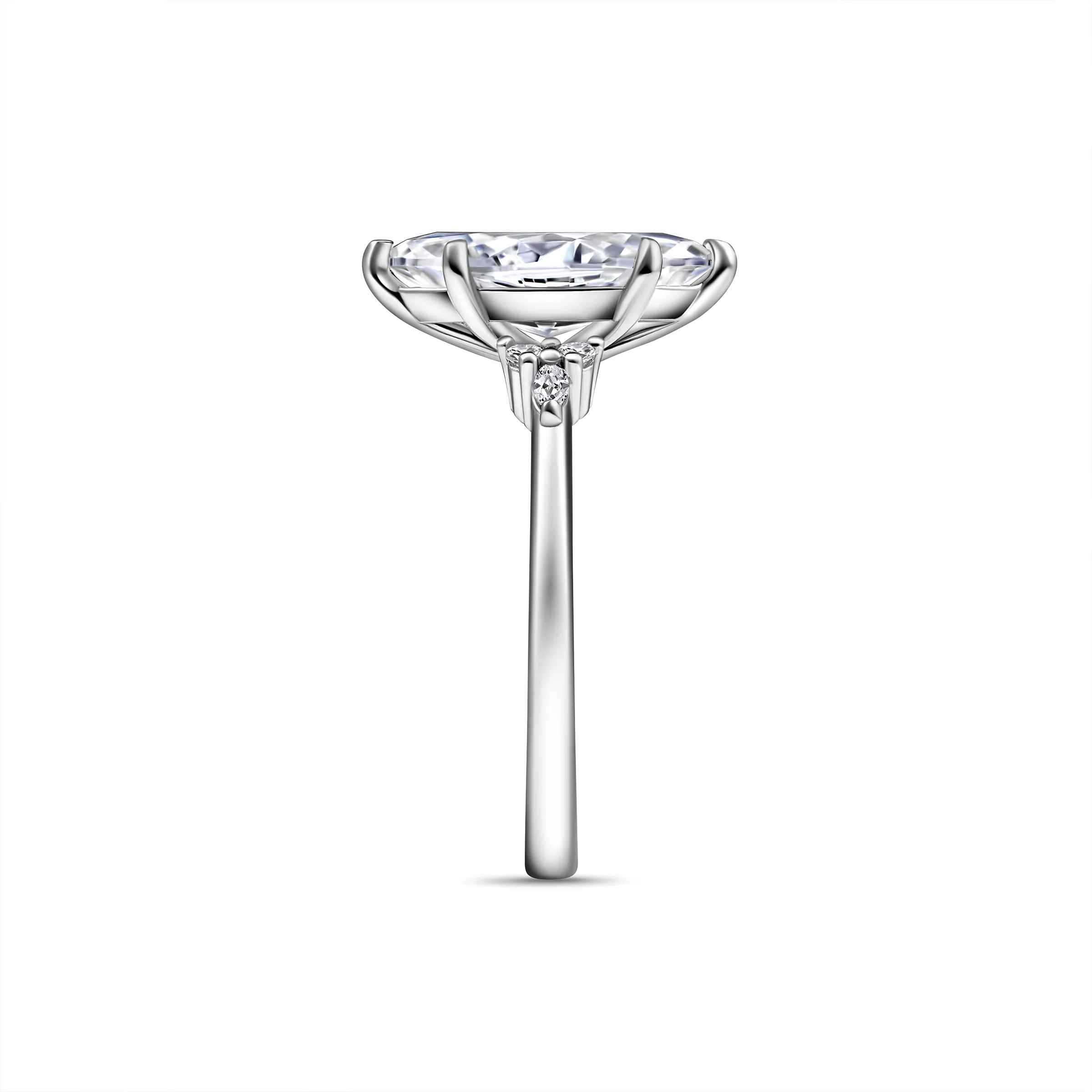 The Iris - Image 10